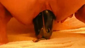 Три мадами Lea Lee, Kenzie Madison и извратени клипове Katie Kush се чукаха една по една