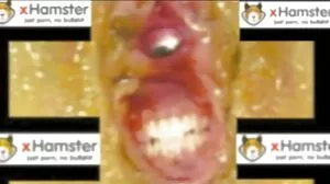 Едрогърдата брюнетка Джина Валентина отваря портата порни клипове си в мисионерска поза