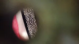 Ангелска тийнейджърка с малки цици мастурбация клипове Ария Банкс се прецака в спалнята