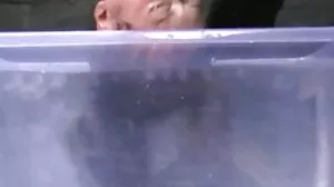 Мацката с големи гърди Ава Адамс стимулира клипове с масажи потната си дупка